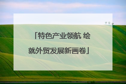 特色产业领航 绘就外贸发展新画卷