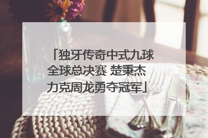 独牙传奇中式九球全球总决赛 楚秉杰力克周龙勇夺冠军