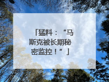 猛料：“马斯克被长期秘密监控！”