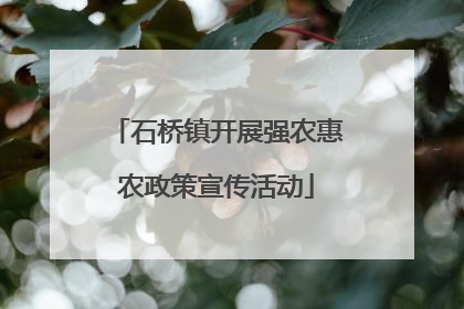 石桥镇开展强农惠农政策宣传活动