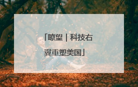 瞭望｜科技右翼重塑美国