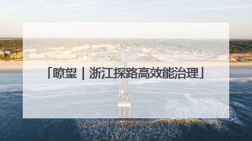 瞭望｜浙江探路高效能治理