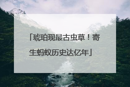琥珀现最古虫草！寄生蚂蚁历史达亿年