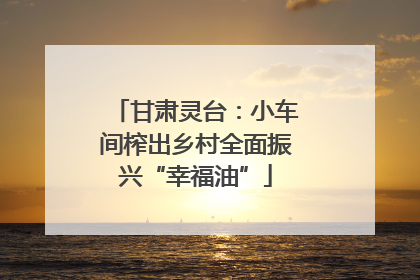 甘肃灵台：小车间榨出乡村全面振兴“幸福油”