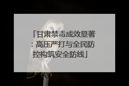 甘肃禁毒成效显著：高压严打与全民防控构筑安全防线