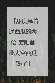 甜度是普通西瓜的两倍 襄阳首批太空西瓜熟了
