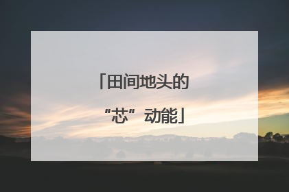 田间地头的“芯”动能