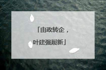 由政转企，叶建强履新