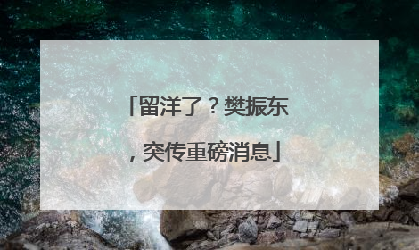 留洋了？樊振东，突传重磅消息