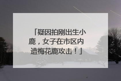 疑因拍刚出生小鹿，女子在市区内遭梅花鹿攻击！
