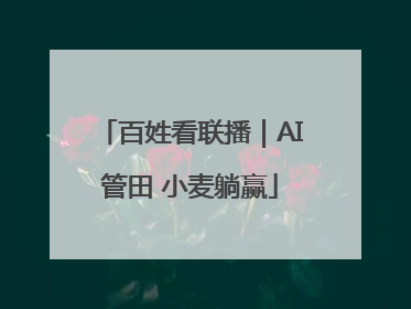 百姓看联播｜AI管田 小麦躺赢