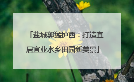 盐城郭猛护西：打造宜居宜业水乡田园新美景