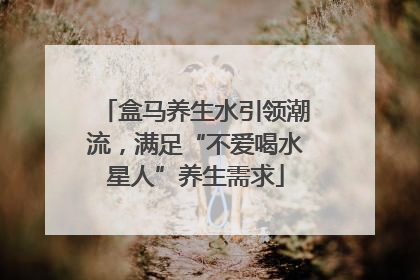 盒马养生水引领潮流，满足“不爱喝水星人”养生需求