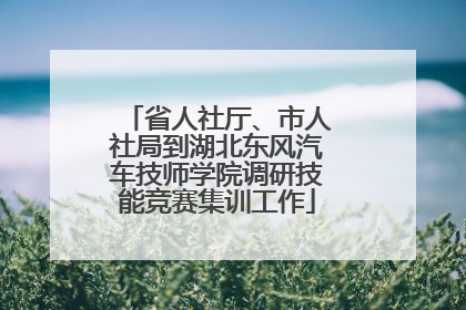 省人社厅、市人社局到湖北东风汽车技师学院调研技能竞赛集训工作