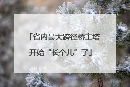 省内最大跨径桥主塔开始“长个儿”了
