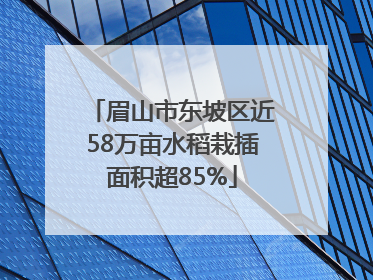 眉山市东坡区近58万亩水稻栽插面积超85%