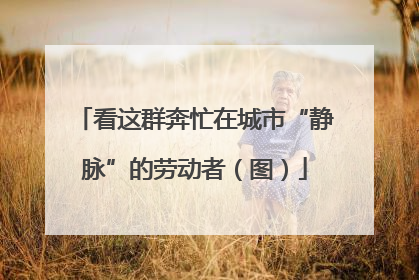 看这群奔忙在城市“静脉”的劳动者（图）