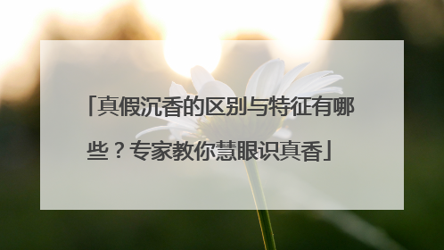 真假沉香的区别与特征有哪些？专家教你慧眼识真香