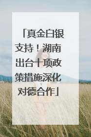 真金白银支持！湖南出台十项政策措施深化对德合作