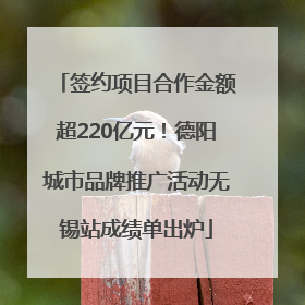 签约项目合作金额超220亿元！德阳城市品牌推广活动无锡站成绩单出炉