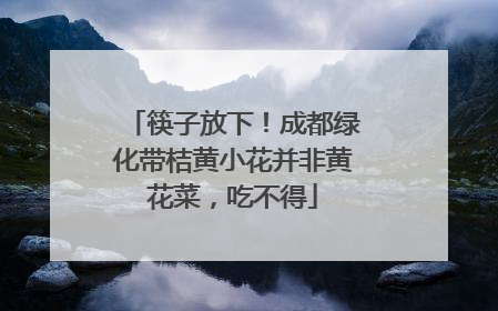 筷子放下！成都绿化带桔黄小花并非黄花菜，吃不得