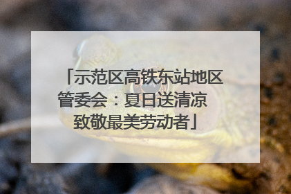 示范区高铁东站地区管委会：夏日送清凉 致敬最美劳动者