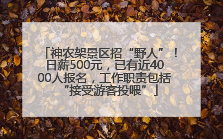 神农架景区招“野人”！日薪500元，已有近4000人报名，工作职责包括“接受游客投喂”