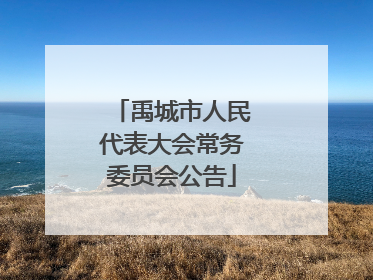 禹城市人民代表大会常务委员会公告