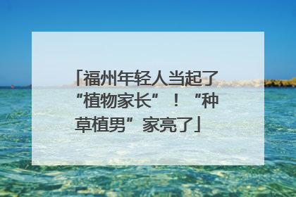 福州年轻人当起了“植物家长”！“种草植男”家亮了