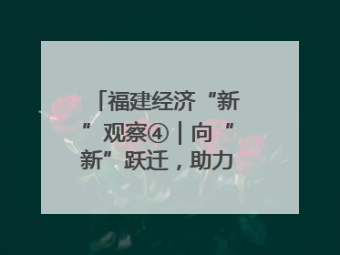 福建经济“新”观察④｜向“新”跃迁，助力经济向好
