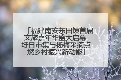福建南安东田镇首届文旅嘉年华盛大启幕 圩日市集与杨梅采摘点燃乡村振兴新动能