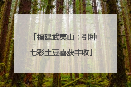 福建武夷山：引种七彩土豆喜获丰收