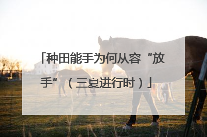种田能手为何从容“放手”（三夏进行时）