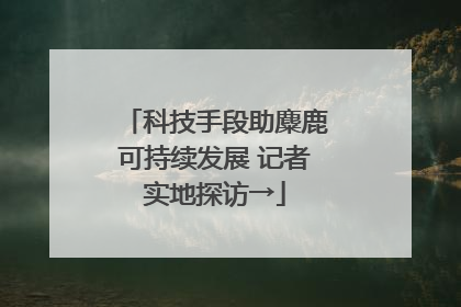 科技手段助麋鹿可持续发展 记者实地探访→