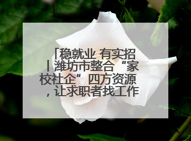 稳就业 有实招丨潍坊市整合“家校社企”四方资源，让求职者找工作不孤单