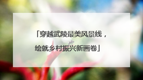 穿越武陵最美风景线，绘就乡村振兴新画卷
