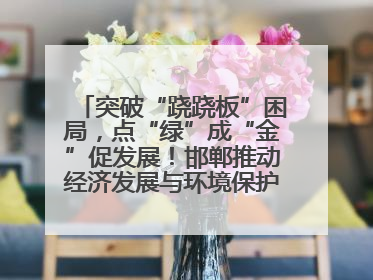 突破“跷跷板”困局，点“绿”成“金”促发展！邯郸推动经济发展与环境保护互促共赢