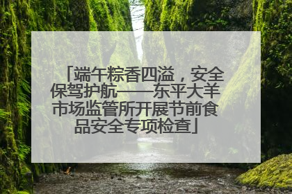 端午粽香四溢，安全保驾护航——东平大羊市场监管所开展节前食品安全专项检查