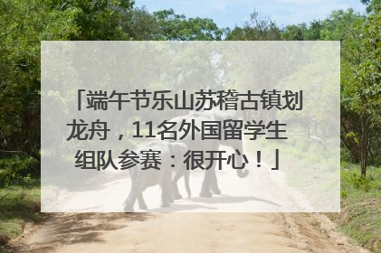 端午节乐山苏稽古镇划龙舟，11名外国留学生组队参赛：很开心！