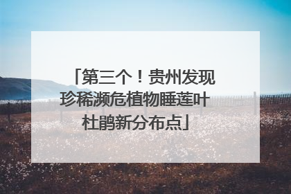 第三个！贵州发现珍稀濒危植物睡莲叶杜鹃新分布点