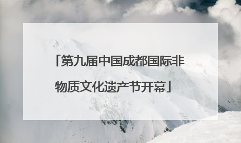 第九届中国成都国际非物质文化遗产节开幕