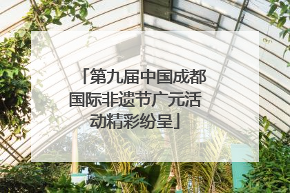 第九届中国成都国际非遗节广元活动精彩纷呈