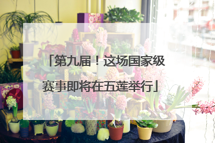第九届！这场国家级赛事即将在五莲举行