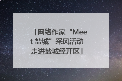 网络作家“Meet 盐城”采风活动走进盐城经开区