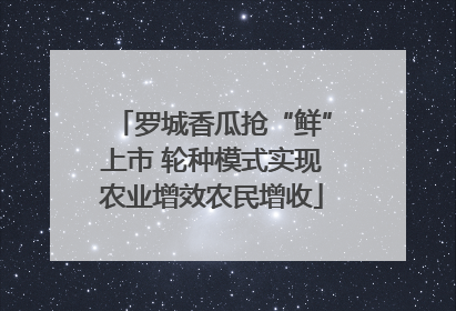 罗城香瓜抢“鲜”上市 轮种模式实现农业增效农民增收