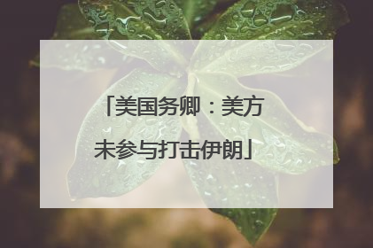 美国务卿：美方未参与打击伊朗