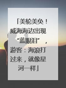 美轮美奂！威海海边出现“蓝眼泪”，游客：海浪打过来，就像星河一样