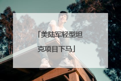 美陆军轻型坦克项目下马
