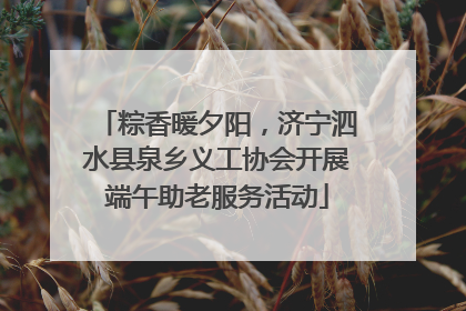 粽香暖夕阳，济宁泗水县泉乡义工协会开展端午助老服务活动
