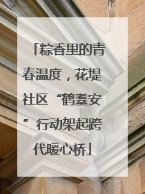 粽香里的青春温度，花堤社区“鹤耋安”行动架起跨代暖心桥